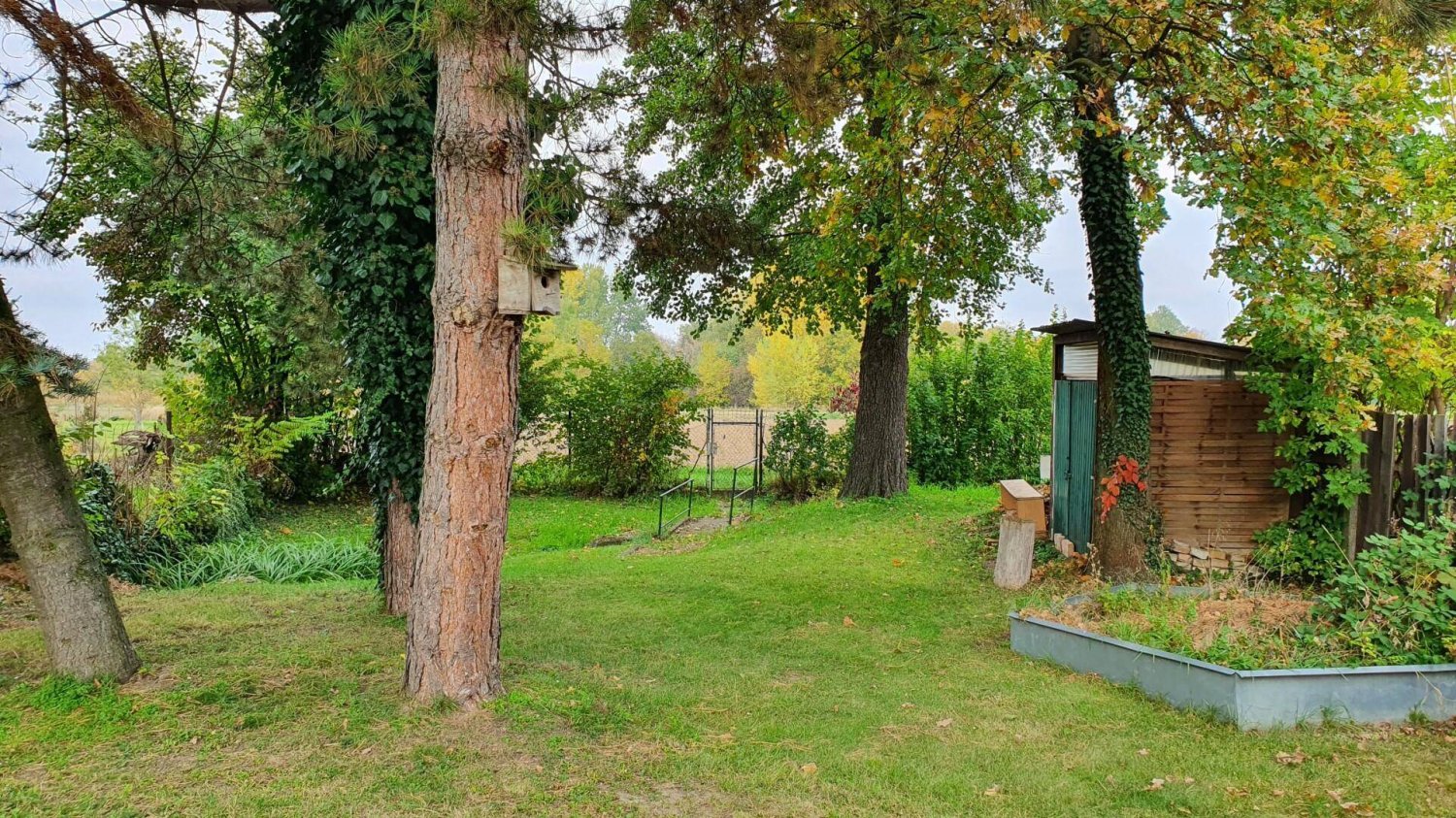 Terrain à Mistelbach, Austria 873m² No. 209350