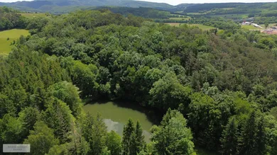 14-salle Maison à Wienerwald, Austria No. 217707