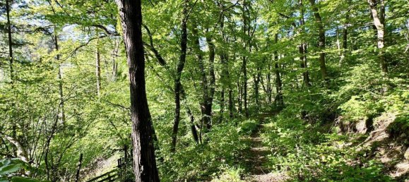 14-salle Maison à Wienerwald, Austria No. 217707 18