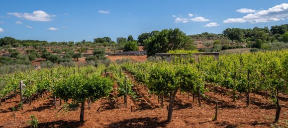 13 غرف نوم منزل في Locorotondo, Italy رقم 64430 22