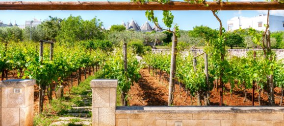 13 غرف نوم منزل في Locorotondo, Italy رقم 64430 21