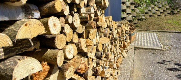 5 rooms House in Hofamt Priel, Austria No. 175017 45