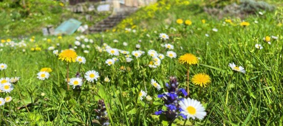 5 rooms House in Hofamt Priel, Austria No. 175017 24