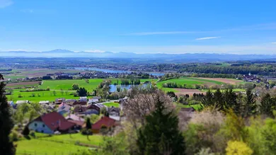 5 rooms House in Hofamt Priel, Austria No. 175017