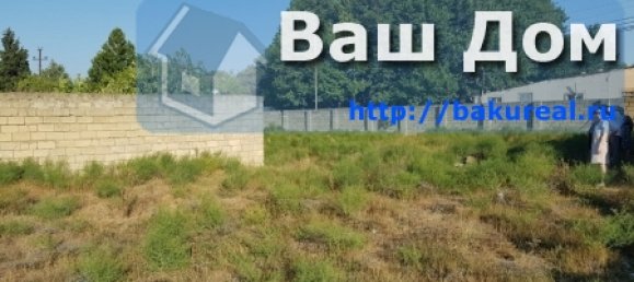 Terrain à Absheron, Azerbaijan 900m² No. 25 5