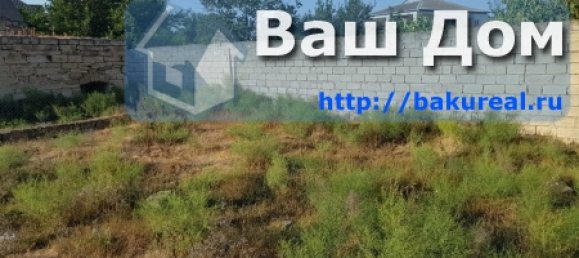 Terrain à Absheron, Azerbaijan 900m² No. 25 9