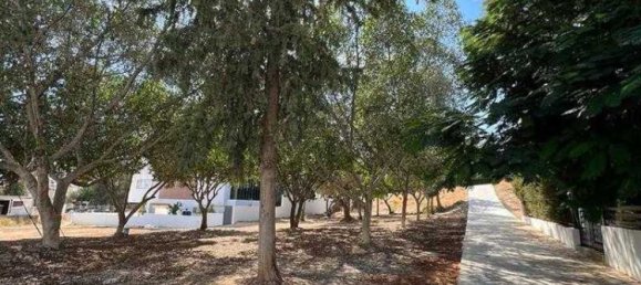 3 bedrooms Maisonette in Germasogeia, Cyprus No. 6957 15