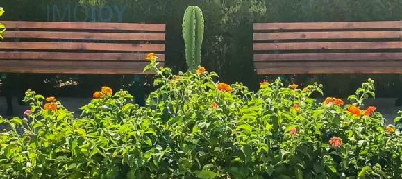 9 bedrooms House in Vila do Bispo, Portugal No. 186704 6