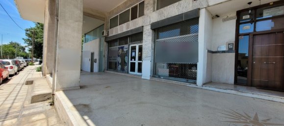 Коммерческая недвижимость 730м² в Салоники, Центральная Македония, Македония и Фракия, Греция № 92809 4