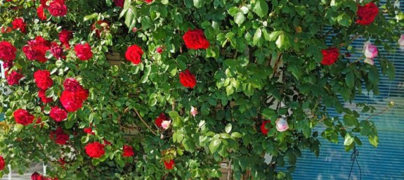 Apartamento de 2 dormitorios en Darmstadt-Dieburg, Germany No. 283199 3