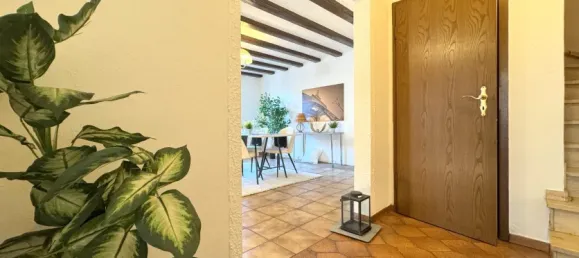 3 bedrooms Apartment in Rhein-Sieg, Germany No. 249862 6