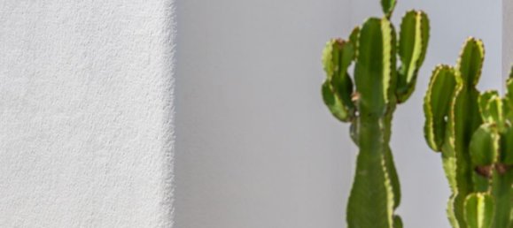 3 bedrooms House in San Fulgencio, Spain No. 11877 10