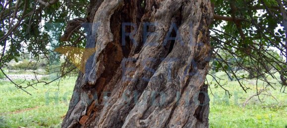 1 bedroom House in Noto, Italy No. 145255 7