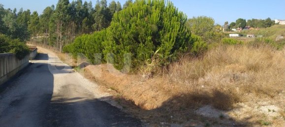 Terreno en Lourinha, Portugal 6480 m² No. 74413 15