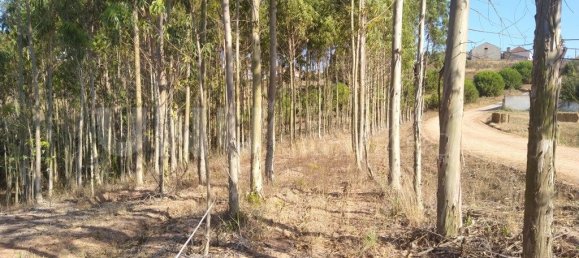 Terreno en Lourinha, Portugal 6480 m² No. 74413 4