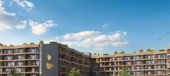 Studio à Istanbul, Turkey No. 2569 2