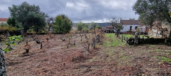 4 bedrooms House in Sabugal, Portugal No. 20364 16