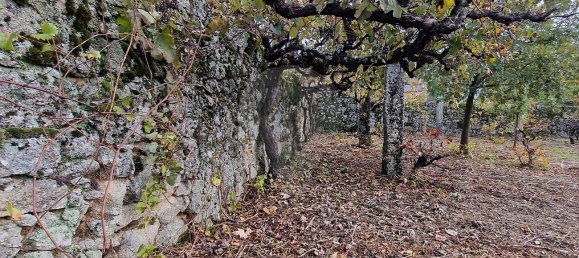 4 bedrooms House in Sabugal, Portugal No. 20364 17