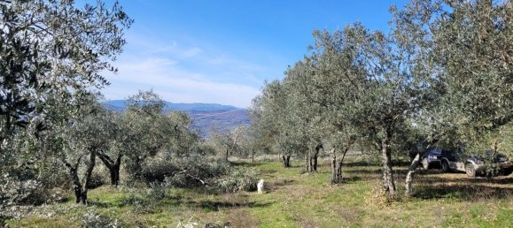 14-Zimmer Haus in Subbiano, Italy, Nr. 44940 11