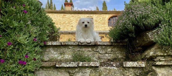 14-Zimmer Haus in Subbiano, Italy, Nr. 44940 45