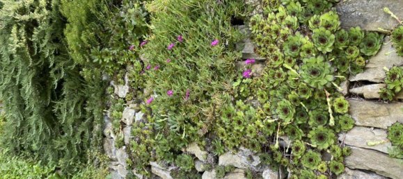 14-Zimmer Haus in Subbiano, Italy, Nr. 44940 35