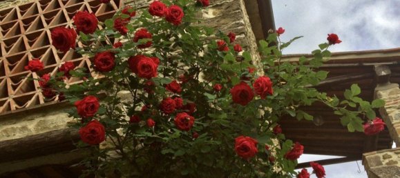 14-Zimmer Haus in Subbiano, Italy, Nr. 44940 22