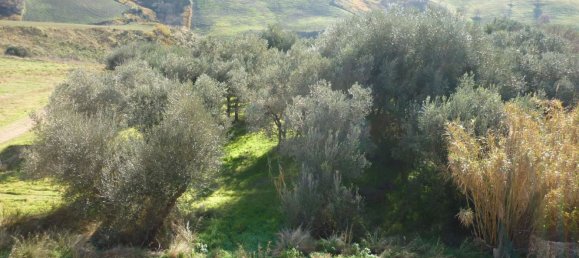 18غرفة فيلا في Cinigiano, Italy رقم 78527 21