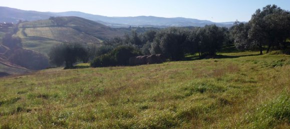 18غرفة فيلا في Cinigiano, Italy رقم 78527 25