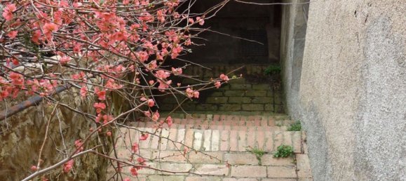 18غرفة فيلا في Cinigiano, Italy رقم 78527 6