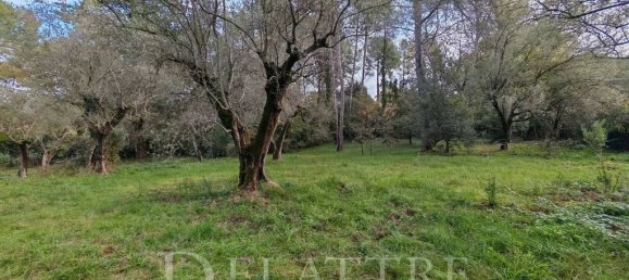 Terreno en Opio, France 2784 m² No. 112809 10