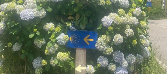  Land in Asturias, Spain No. 149548 3