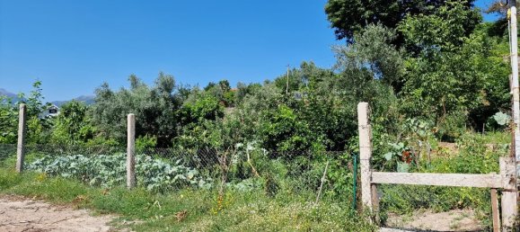 3 bedrooms House in Vieira do Minho, Portugal No. 55077 4