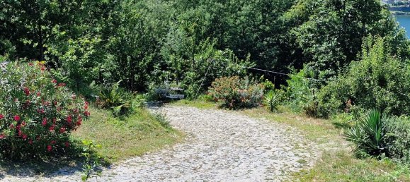 3 bedrooms House in Vieira do Minho, Portugal No. 55077 8