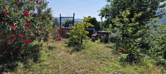 3 bedrooms House in Vieira do Minho, Portugal No. 55077 5