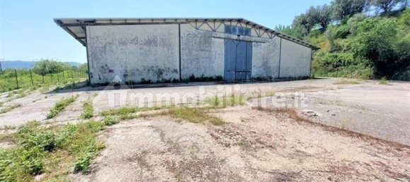 4000m² Warehouse in Lanciano, Italy No. 318861 9