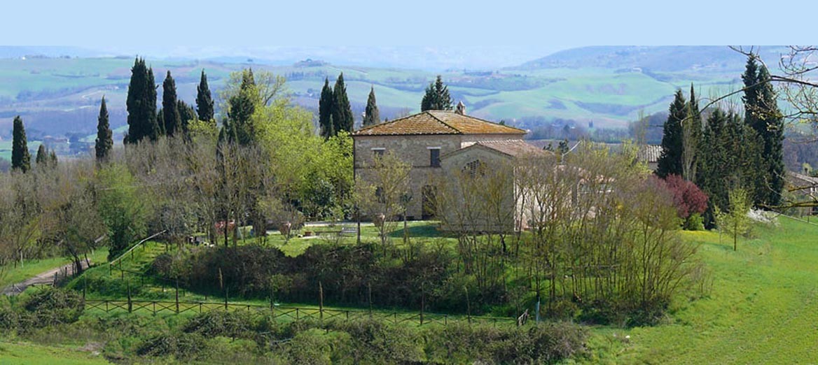 8 bedrooms House in Buonconvento, Italy No. 161801
