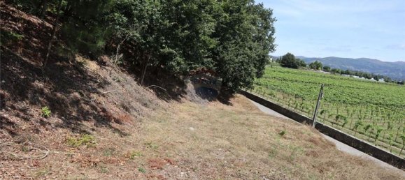 28058m² Land in Geme, Portugal No. 33273 23