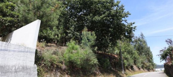 28058m² Land in Geme, Portugal No. 33273 40