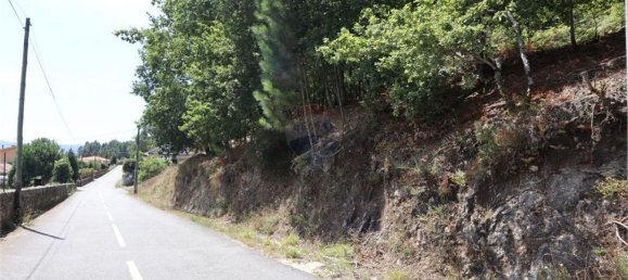 28058m² Land in Geme, Portugal No. 33273 8