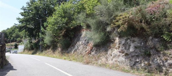 28058m² Land in Geme, Portugal No. 33273 36