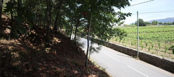 28058m² Land in Geme, Portugal No. 33273 25