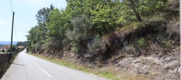 28058m² Land in Geme, Portugal No. 33273 7