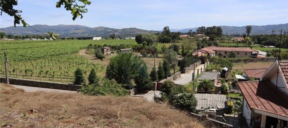 28058m² Land in Geme, Portugal No. 33273 19