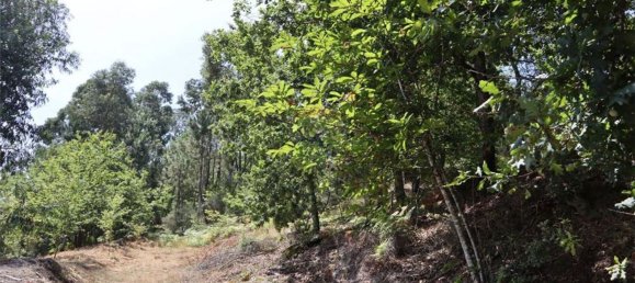 28058m² Land in Geme, Portugal No. 33273 22