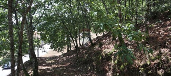 28058m² Land in Geme, Portugal No. 33273 27