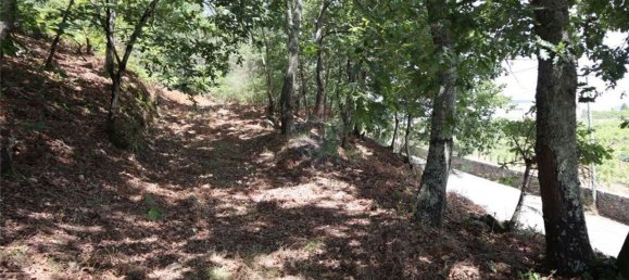 28058m² Land in Geme, Portugal No. 33273 24