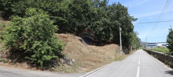 28058m² Land in Geme, Portugal No. 33273 30