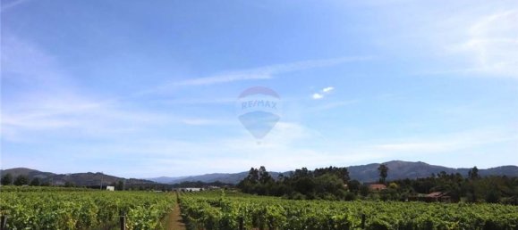 28058m² Land in Geme, Portugal No. 33273 49