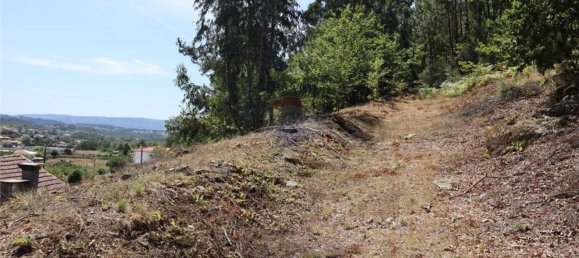 28058m² Land in Geme, Portugal No. 33273 21