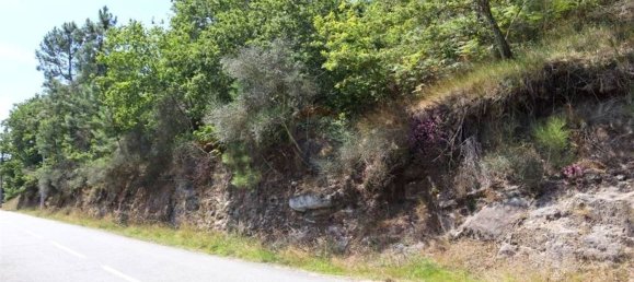 28058m² Land in Geme, Portugal No. 33273 50